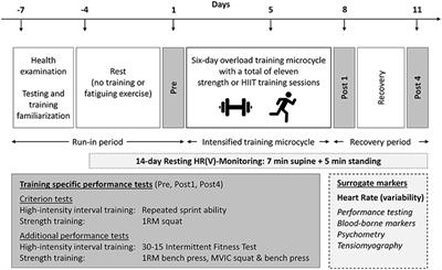 Heart Rate Variability Monitoring During Strength and High-Intensity Interval Training Overload Microcycles